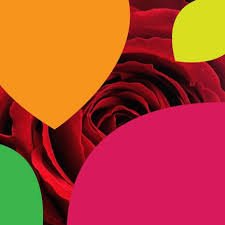 Isinya Roses Limited